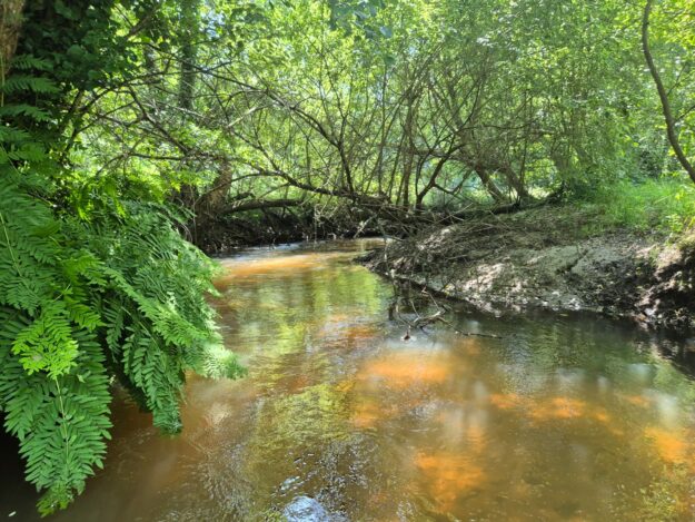 PHOTO-2025-06-22-17-40-23